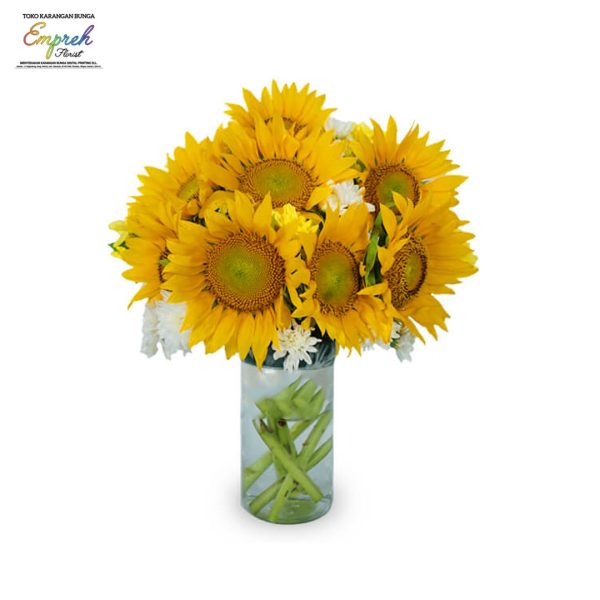 Vas Bunga Matahari Vas Bunga Matahari